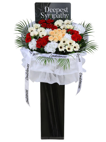 Sympathy & Serenity 🕊️